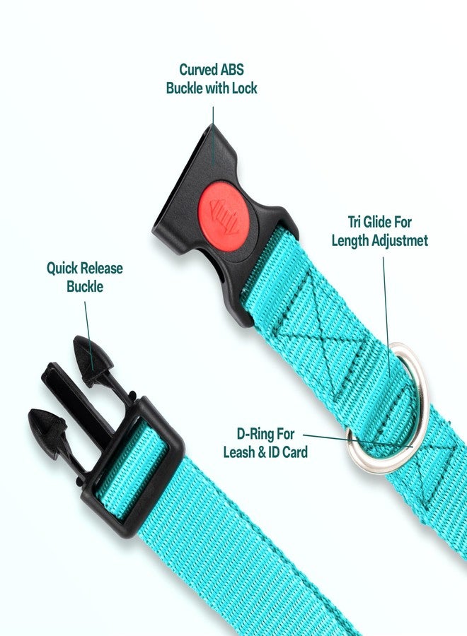 ADIL'S Adil’S Nylon Dog Collar & Leash Set Combo Suitable for All Dog Breeds, Reflective Soft Padded Handles for Running, Walking & Training, Leash Size 5ft, Collar Size: L (Teal Color) - Image 4